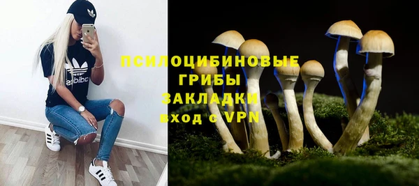 ешки Вязьма