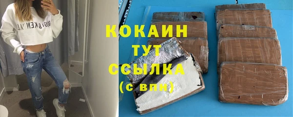 мдпв Вяземский