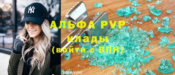 мдпв Вяземский