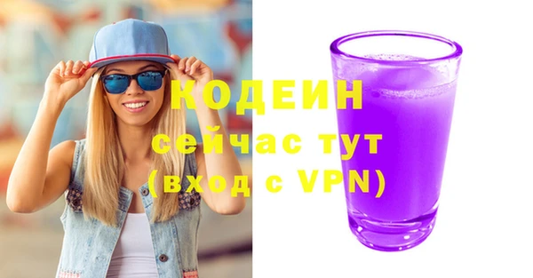 мдпв Вяземский