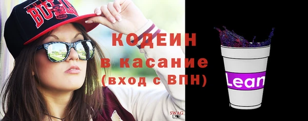 мдпв Вяземский