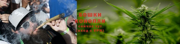 ешки Вязьма