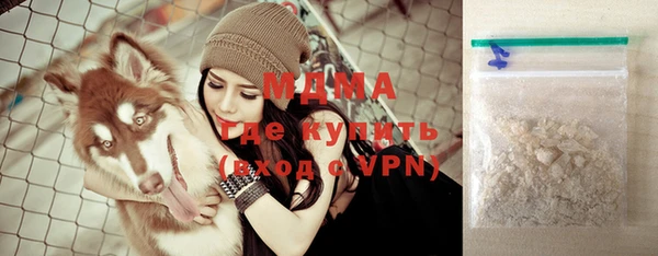 мдпв Вяземский
