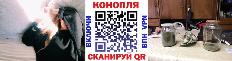 Купить Куртамыш Канабис семена
